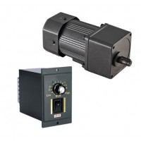 60W Single Phase 220VAC Motor Speed Controller for Variable Speed Motor