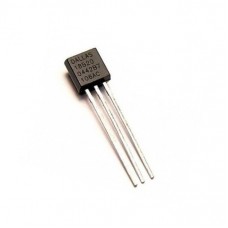 DS18B20 Digital Thermometer