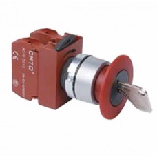 KEY SWITCH