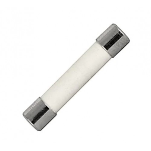 Microwave Oven Ceramic Fuse - product image
