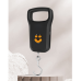 New Precision Portable Electronic Scale 50kg Portable Scale Household Spring Hook Luggage Scale thumbnail image 1
