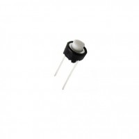 Push Button Switch (2PIN)