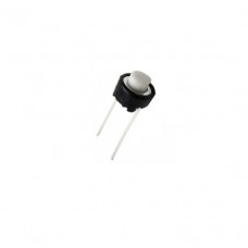 Push Button Switch (2PIN)