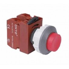 PUSHBUTTON SWITCH