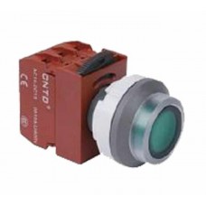 PUSHBUTTON SWITCHES