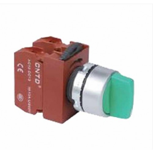 PUSHBUTTON SWITCHES - product image