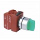 PUSHBUTTON SWITCHES