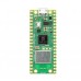 Raspberry Pi Pico W thumbnail image 1