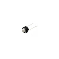 Push Button Switch (2PIN)