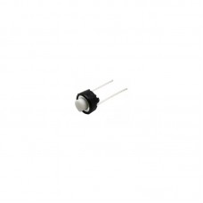 Push Button Switch (2PIN)