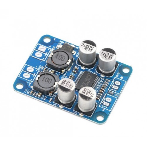 TPA3118 Mono Digital Audio Power Amplifier Board Amp Module - product image